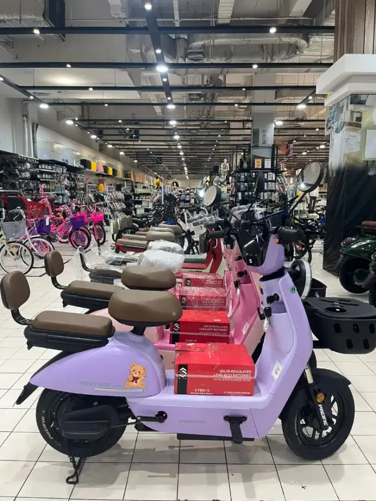 PACIFIC E-BIKE VENTURA M2