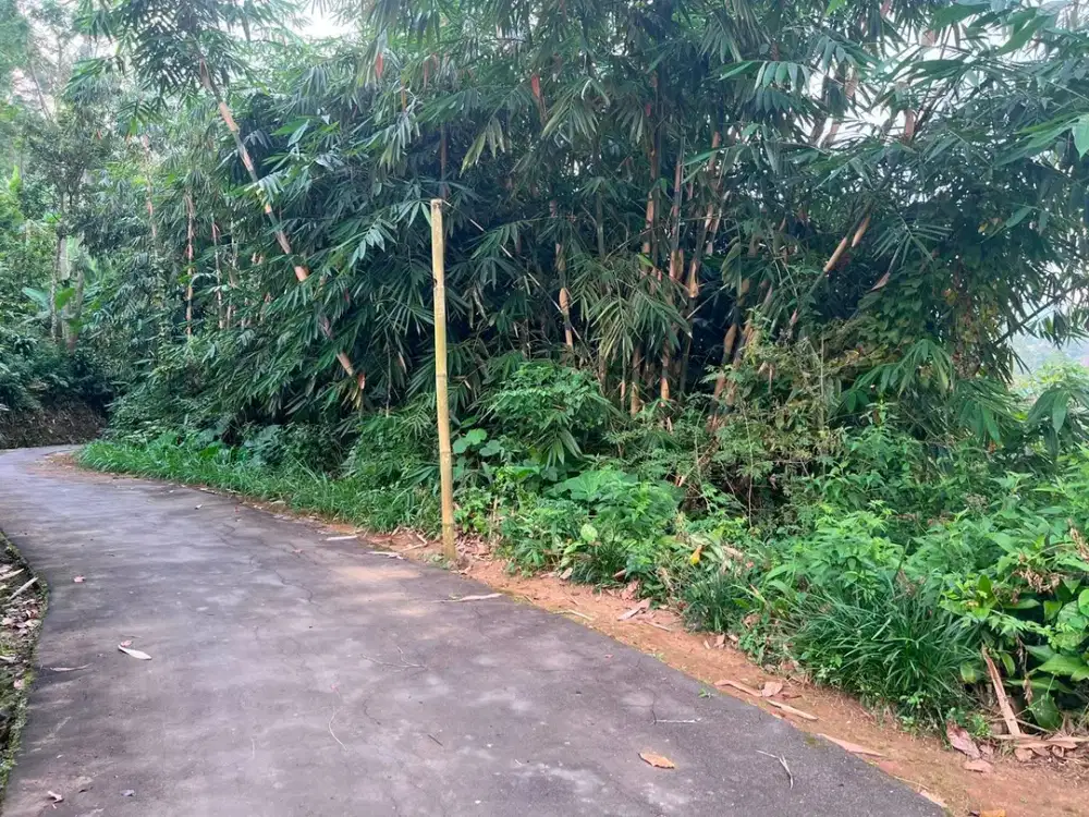 Tanah 75 Juta Kawasan Wisata Ngargoyoso