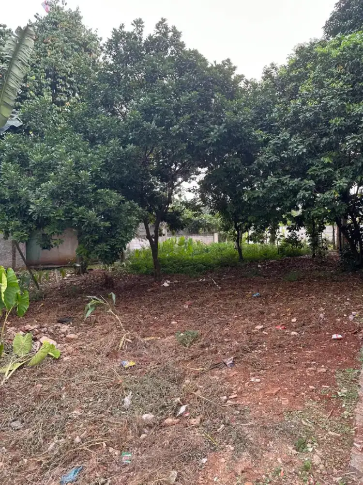 Di jual tanah cepat seluas 315m