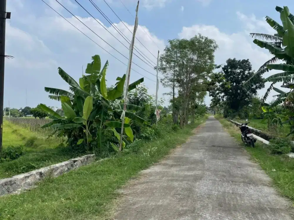 Tanah Jogja Dekat Demak Ijo Godean, Cicilan Tanpa Bunga