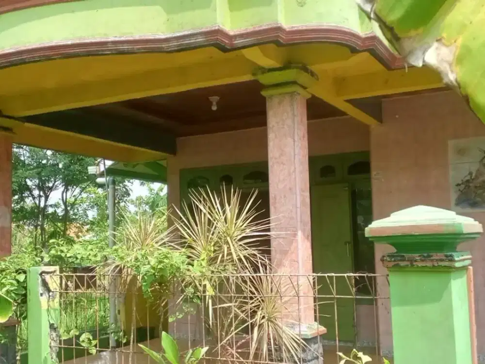 Dijual Rumah 1 Lantai Luas 320 m2 Kalipucang Brebes Jawa Tengah