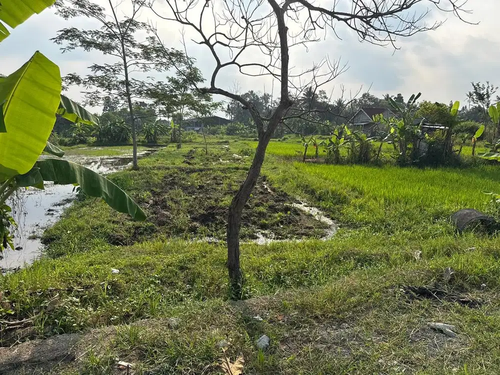 Tanah SHM 1451 meter