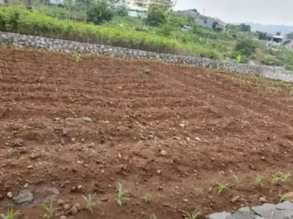 Tanah Siap bangun daerah Jangli - 11581