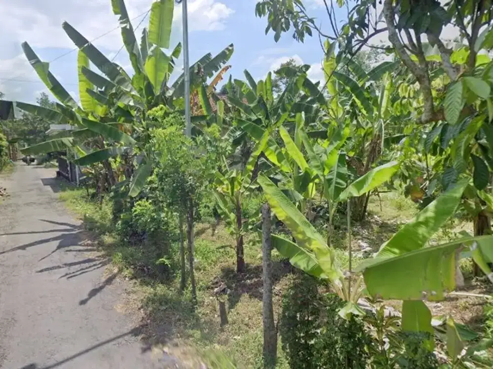 Di Jual Tanah 558 m2 Lokasi Kota Blitar dekat jalan Kalimas