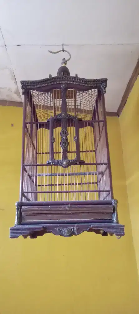Sangkar jati masih bagus