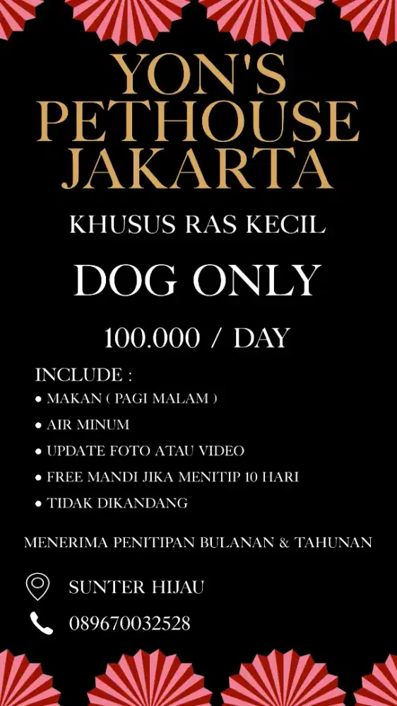 Penitipan Anjing Ras Kecil