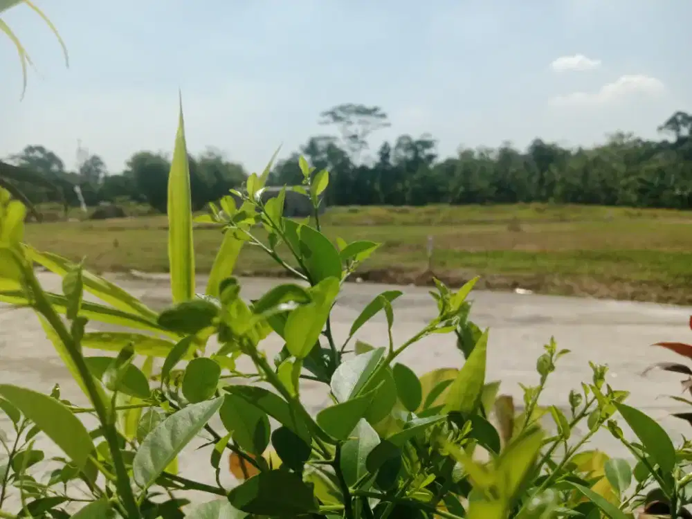 TANAH ISTIMEWA LINGKUNGAN PERUMAHAN SIAP BANGUN