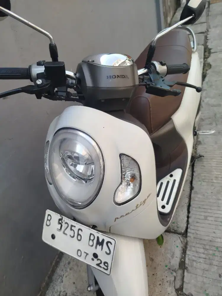 Scoopy 2024 Gress