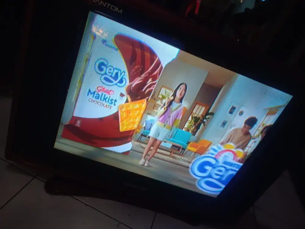 Tv Sanken 21 in
