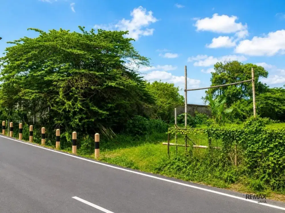 TANAH STRATEGIS 6,8 ARE DIJUAL, DI JALAN SUNSET ROAD, BADUNG