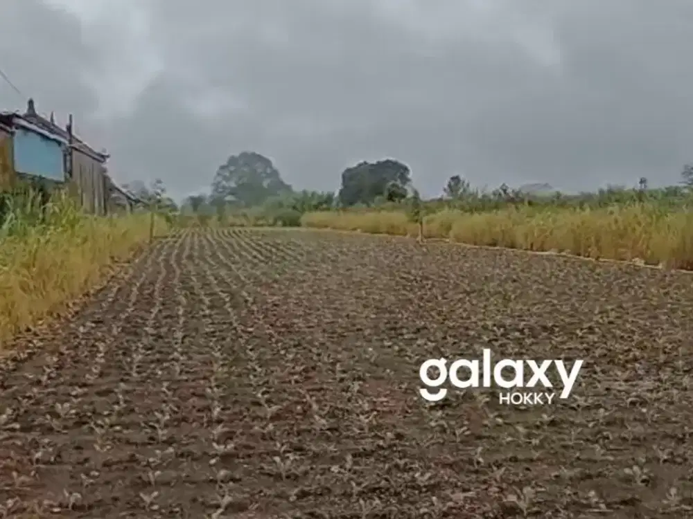 DIJUAL TANAH LAHAN AGRI BISNIS SEKAAN KINTAMANI BANGLI