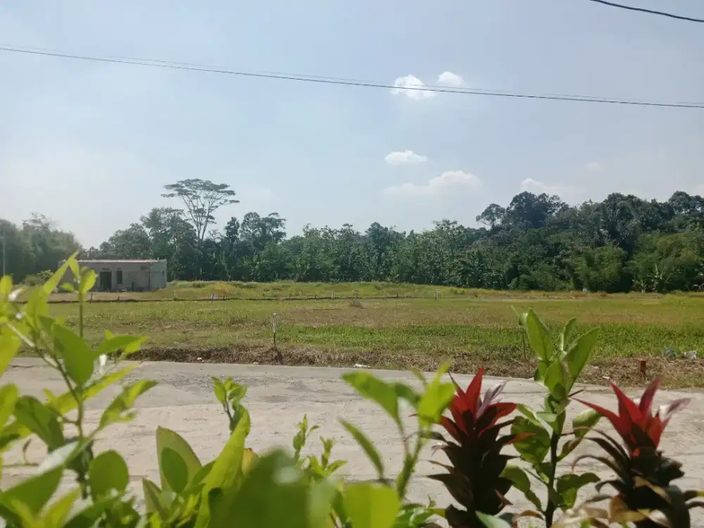 TANAH  MURAH JUAL CEPAT ISTIMEWA PINGGIR JALAN SWKITAR SEKITAR UNNES