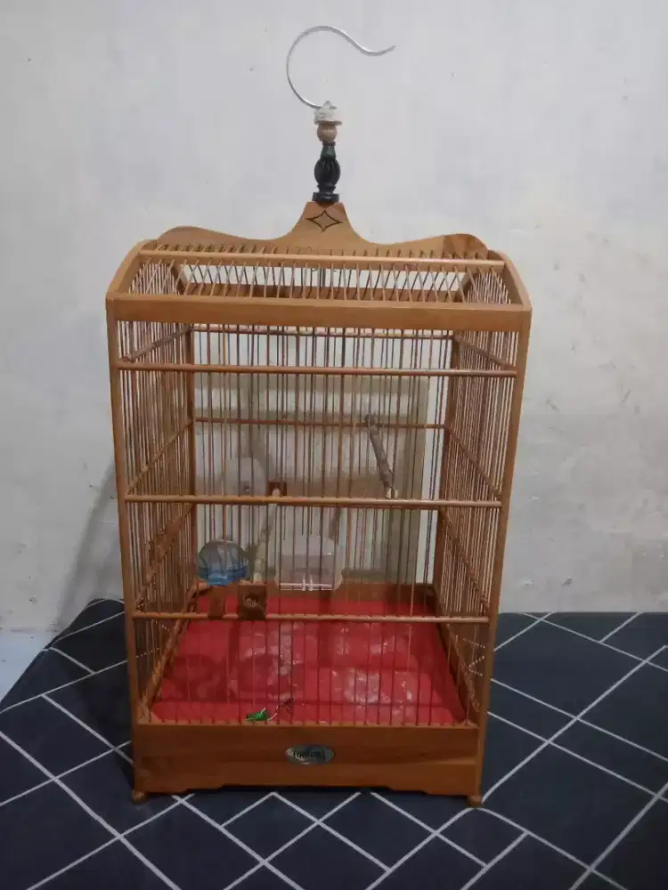 Jual kandang soloan no 2 fs + krodong