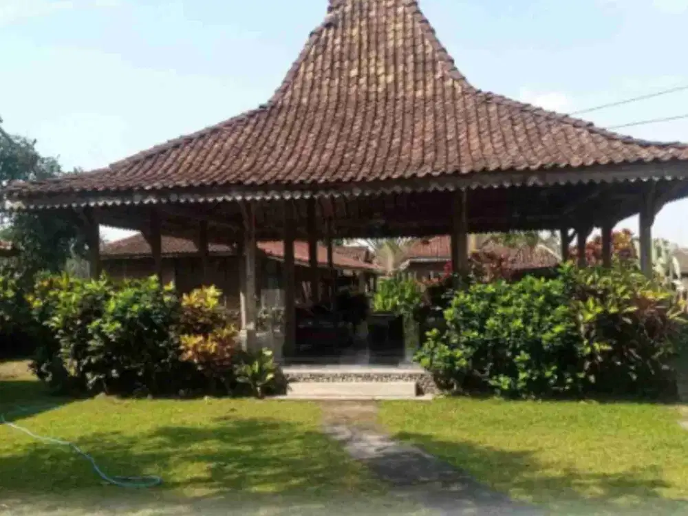 Dijual/disewa villa full funish jln.tajem raya ngemplak sleman yogya. Full funish, row jln.6 mtr, listrik.5700 W, SHM ( 501.AS).
