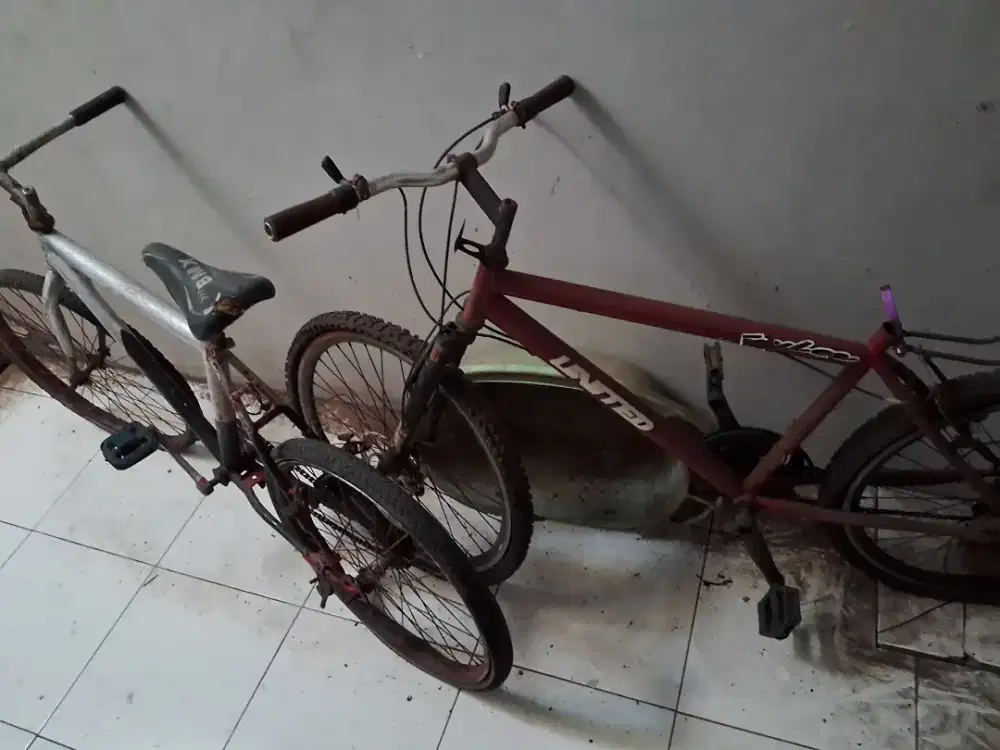 Jual 2 sepeda dewasa bekas