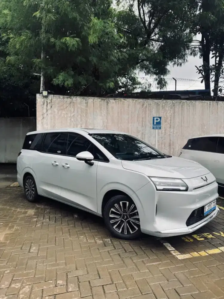 WULING DARION EV EX