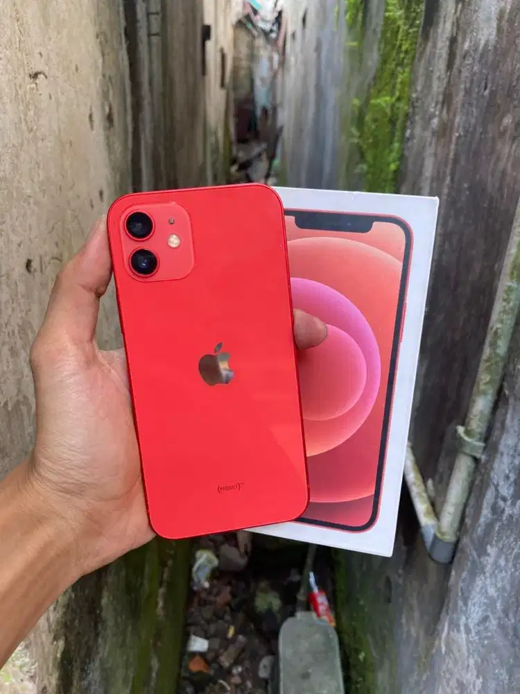 Iphone 12 128 Fullset Inter All Opp