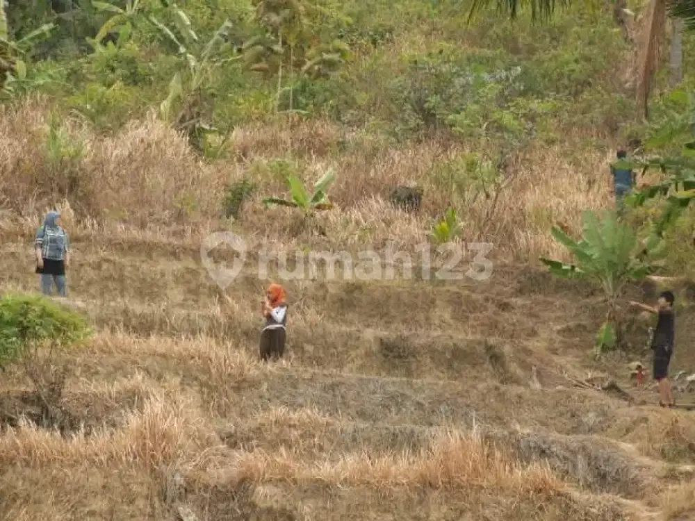 LAHAN MATANG SEBERANG PANTAI