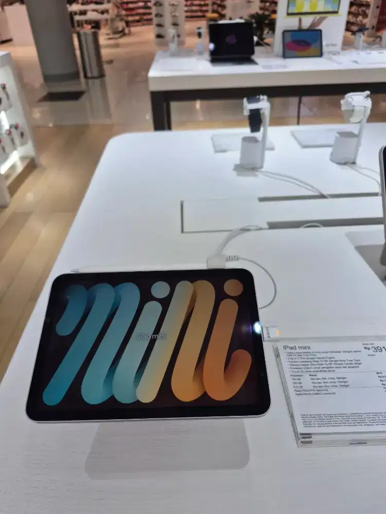 CICILAN IPAD MINI