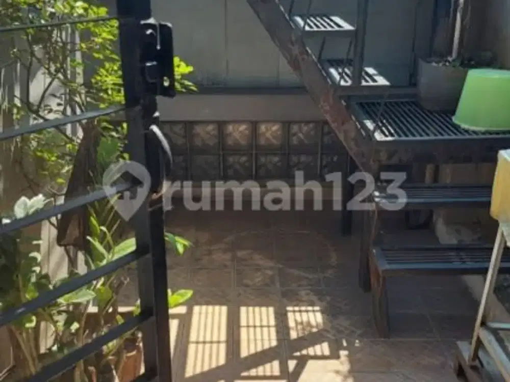 Rumah Mainroad bisa Utk Usaha di Sumbersari Mainroad