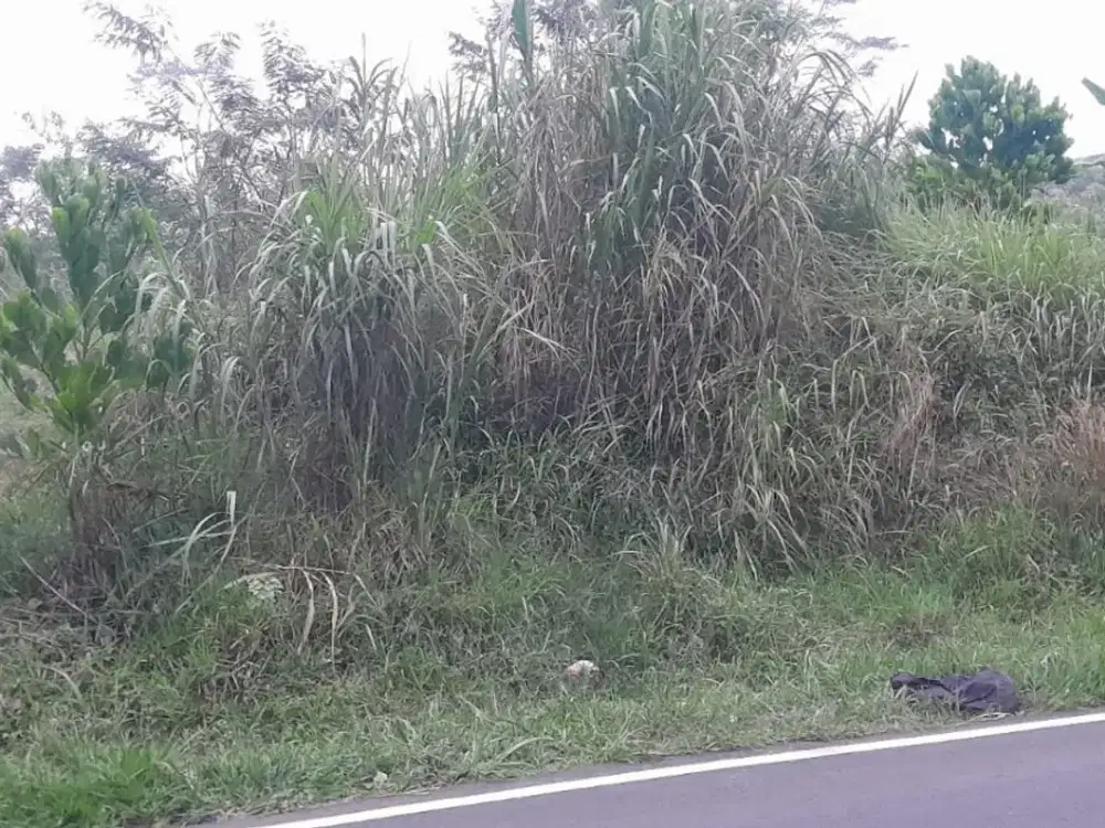 Dijual lahan pinggir jalan 1946 meter akses jalan besar