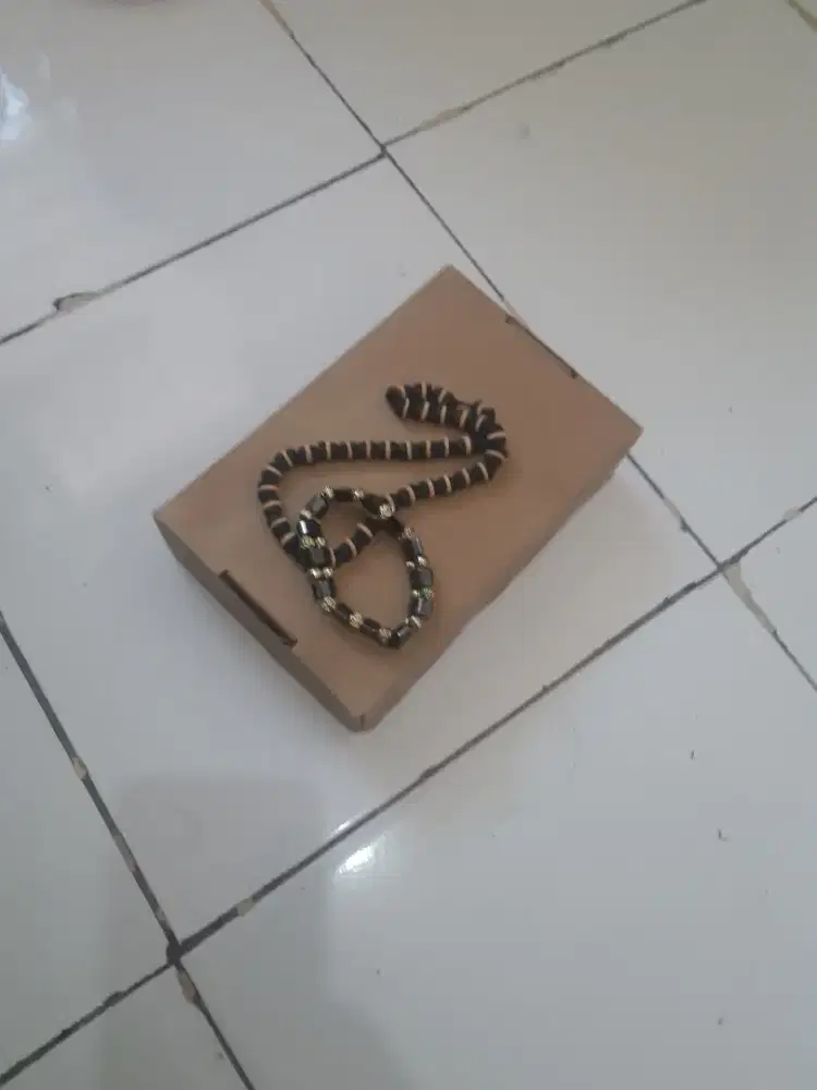 jual cpt1set perhiasankalung dan gelang