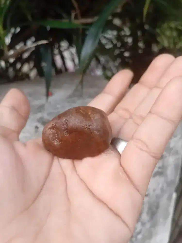 Batu petir merah kalimantan langka 3 generasi barang langka