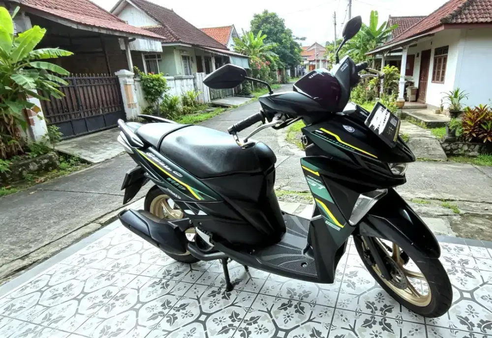 yamaha soul Gt 2018