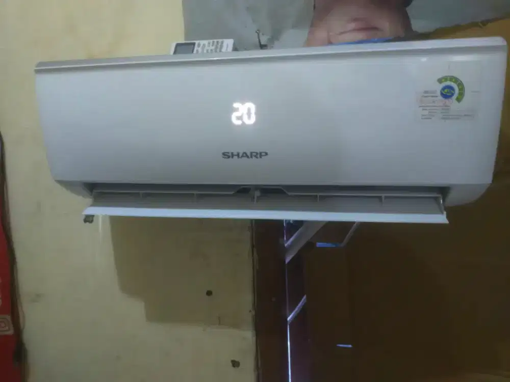 Ac sharp 1/2 pk orisinil