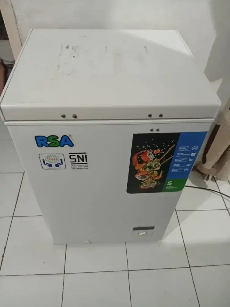 Frezer box RSA 100L