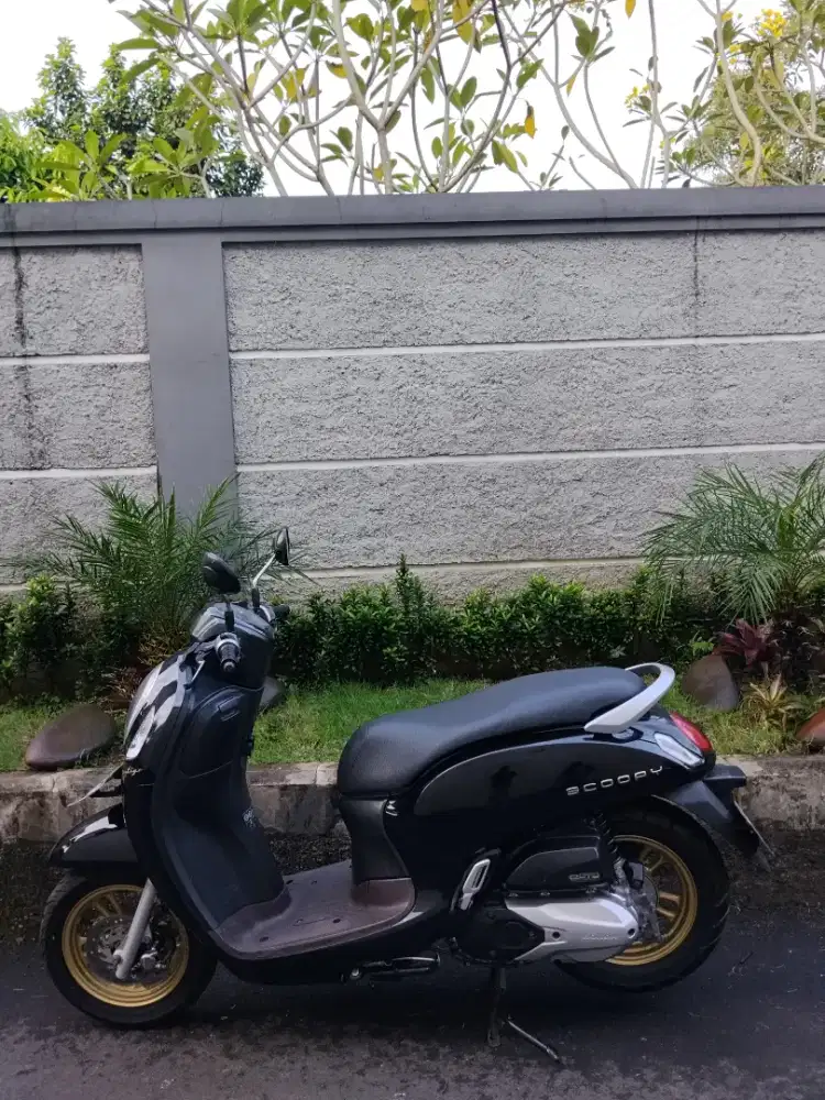 HONDA SCOOPY FRESTIGE KYLES 2021