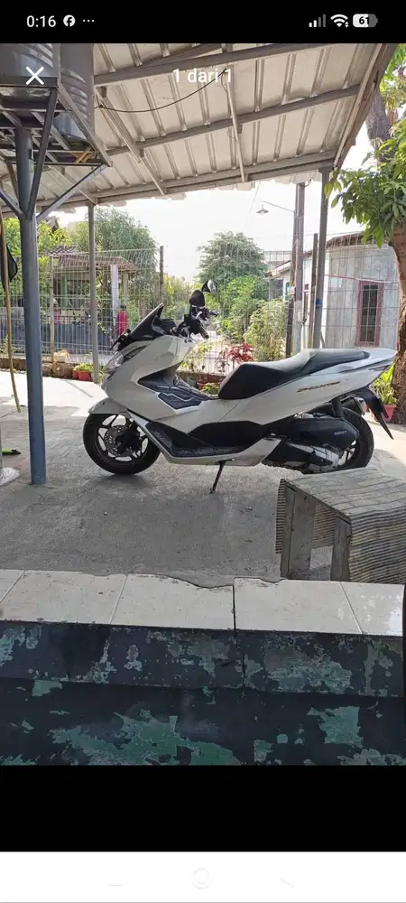 PCX ABS 2024 PUTIH