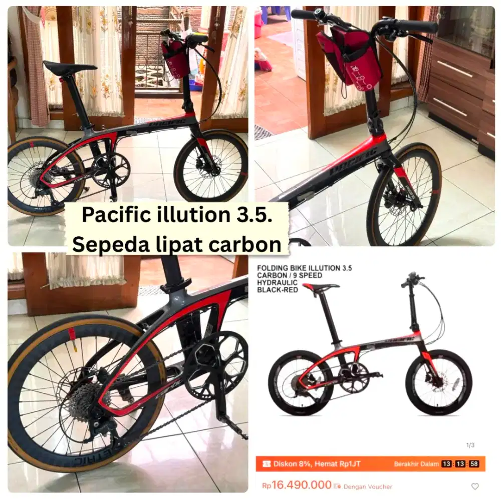 Sepeda Lipat carbon