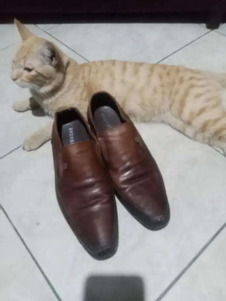 Jual Sepatu Bekas Murah Meriah