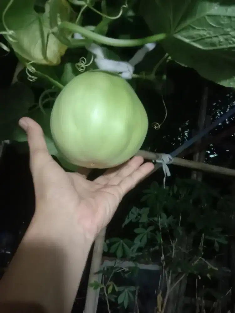 Jasa antar jemput