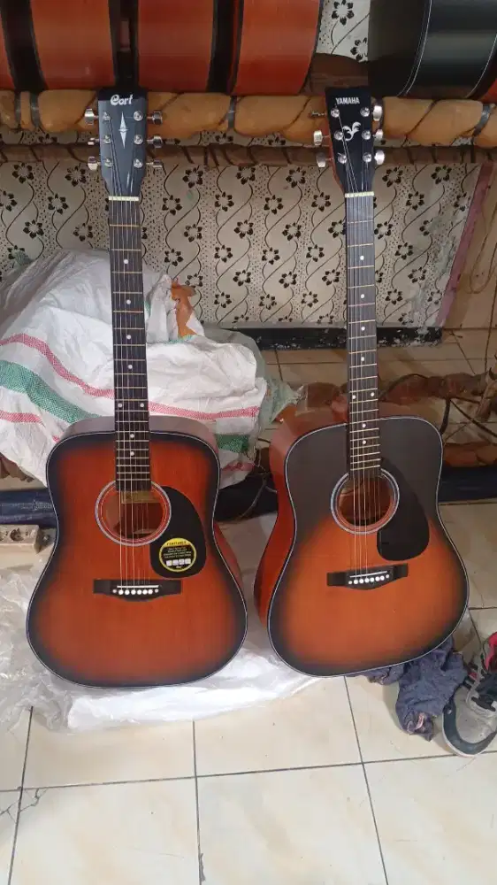 Gitar akustik jumbo sunberd