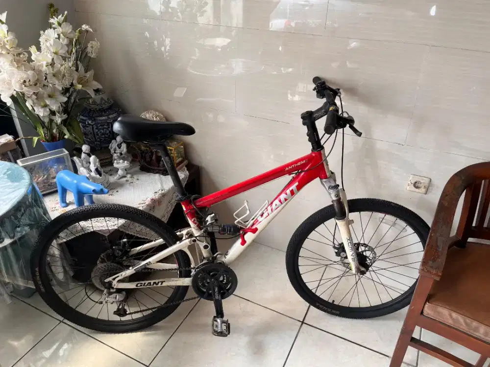 Sepeda Giant Anthem S Cross-Country Bike
