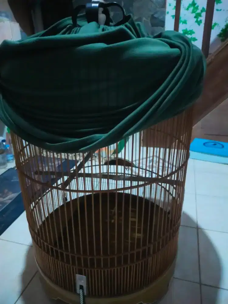 Kandang Murai no 3