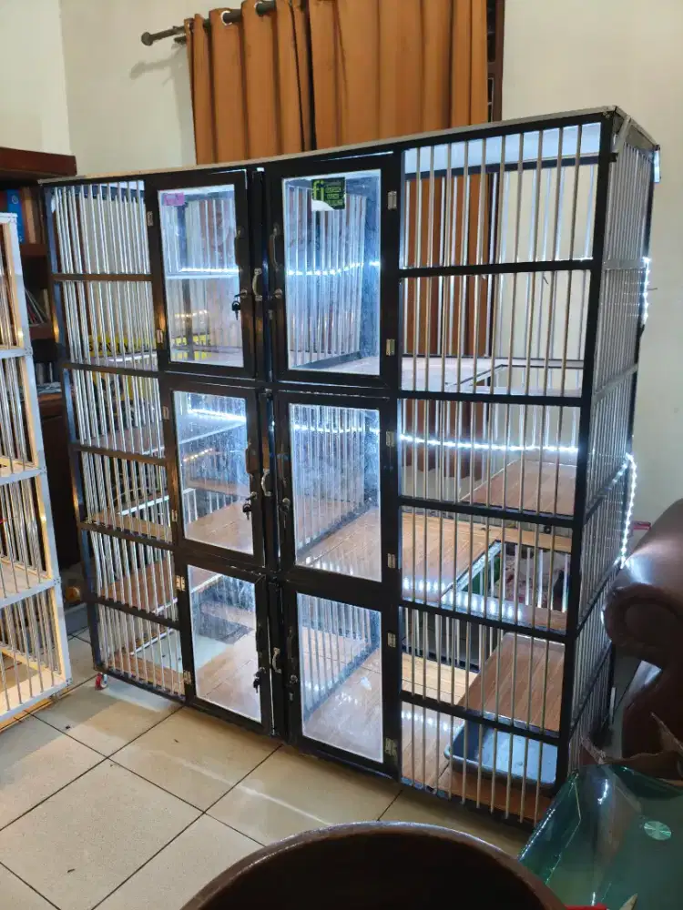 Kandang Kucing Aluminium Preloved British BSH Scottish Persia Himalaya