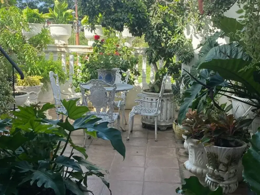 DIJUAL RUMAH CANTIK & ASRI DI SALEMBA SENEN JAKARTA PUSAT