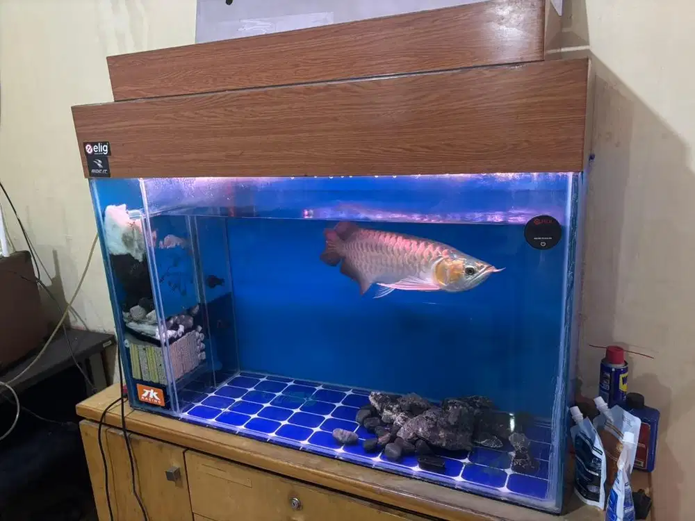Aquarium 130cm fullset