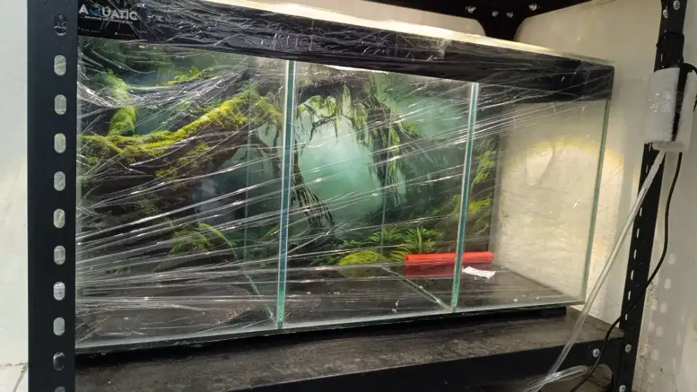 Aquarium Soliter