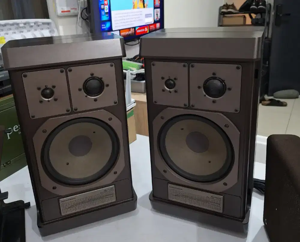 Speaker Vintage (Grundig-Germany)