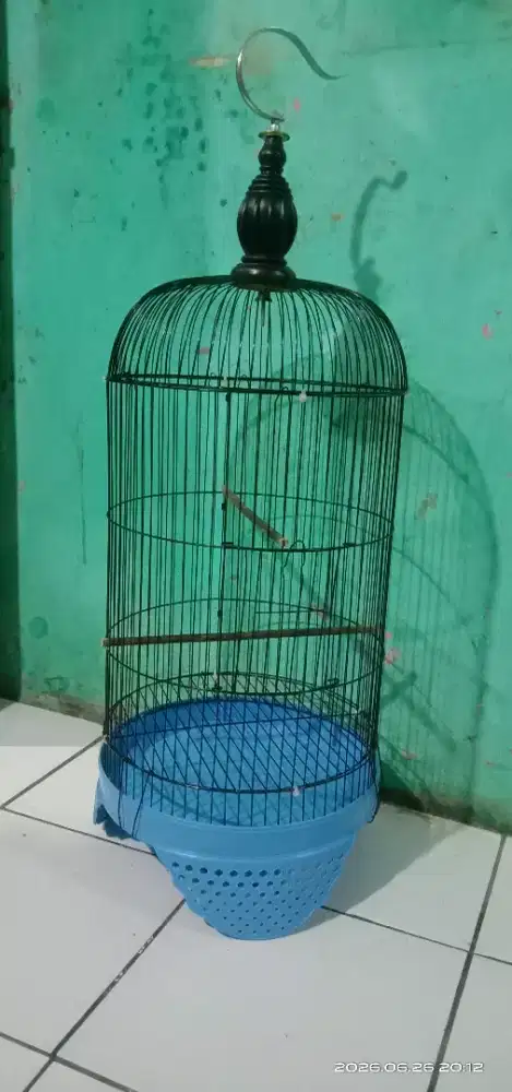 Kandang Lovebird