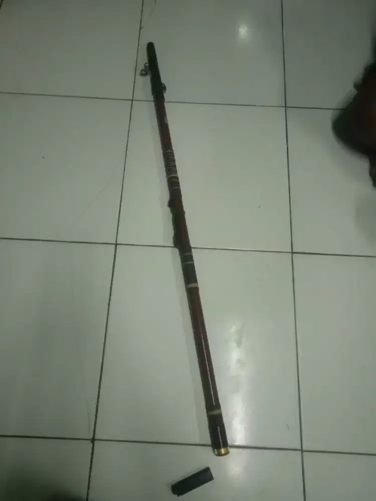Joran pancing laut Daiwa