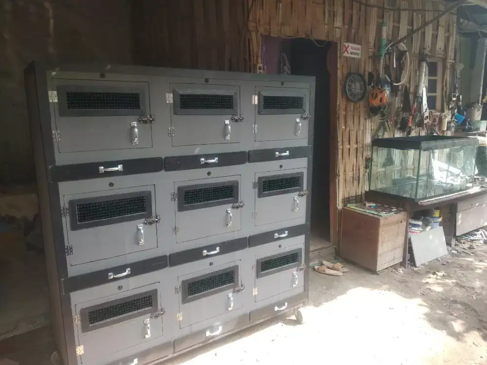 Kandang ayam serama