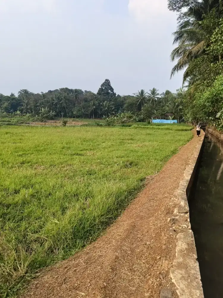 Dijual tanah sawah lus 4.000 m