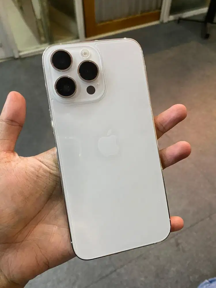 IPhone 14 Pro max 256 Gb silver mulus all operator