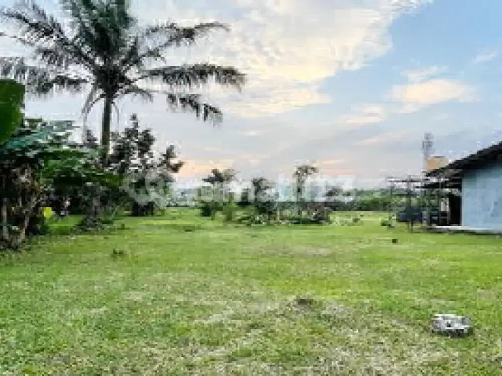 Tanah Datar Hadap Timur Bebas Banjir Siap Bangun Di Pamulang