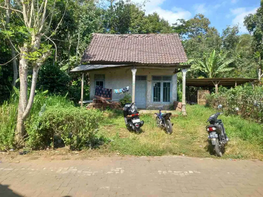 Rumah dan Kebun Poros Aspal Tajinan Malang